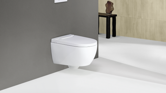 Geberit Aquaclean Alba wall hung WC